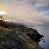 Amy Nesler - Visit the San Juan Islands in Washington