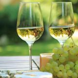 Aumento “preoccupante” di Pfas nei vini anche italiani. Guarda: “Revocare le autorizzazioni”