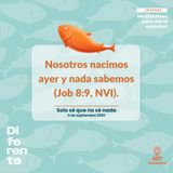 Solo sé que no sé nada ~ Devocional de Jóvenes ~ 6 de septiembre 2026