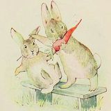 The Tale of the Fierce, Bad Rabbit | Beatrix Potter Stories