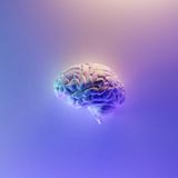 Reflexiones sobre el pensamiento