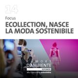 Focus - Ecollection, nasce la moda sostenibile