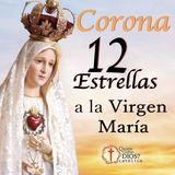 Corona de 12 ESTRELLAS ⭐️ María Santísima MES DE MARIA