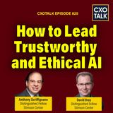 How to Lead Practical, Ethical, and Trustworthy AI