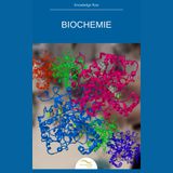 Biochemie: Wasser, Proteine, Enzyme und Stoffwechsel