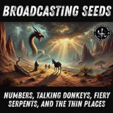 Numbers, Talking Donkeys, Fiery Serpents, and the Thin Places