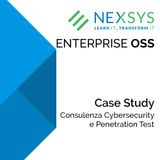 Penetration test: case study Enterprise OSS