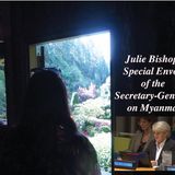 Julie Bishop, Special Envoy of the Secretary-General on Myanmar