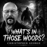 Don't Go Into The Woods  Christopher George