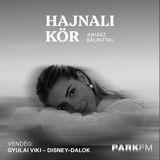 Gyulai Viki: Nagyon sok NEM-en keresztül érhetjük csak el az álmainkat | Park FM – Hajnali Kör