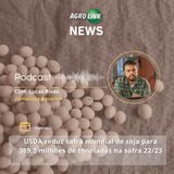 Exportações do agro nacional podem chegar a U$S 140 bi, estima Marcos Fava Neves