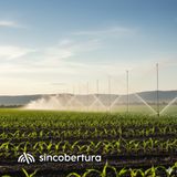 Comprar tierra no da derecho al agua