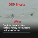Wow, This Is Crazy