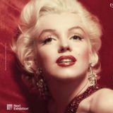 Forever Marilyn - Lara Martinetto Next Exhibition