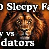 The Most Relaxing Facts About Prey Vs Predators to Fall Asleep To _ No Adverts