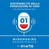 Sostenibilità nella produzione di vino con Unione Italiana Vini
