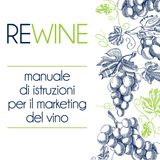 Intro. Serviva un audio manuale d'istruzioni di marketing del vino? Ma soprattuto perchè Re-Wine?