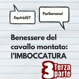 Benessere del cavallo montato: l'imboccatura - TERZA PARTE