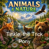 Tinkle the Trick Pony - Richard Barnum