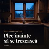 Plec înainte să se trezească