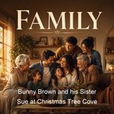 Bunny Brown and his Sister Sue at Christmas Tree Cove - Laura Lee Hope