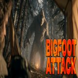 Bigfoot Attack Then Five Months in a Coma
