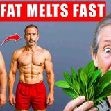 New MIRACLE LEAF Destroys Diabetes_ and MELTS Belly Fat_ _ Barbara O_Neill