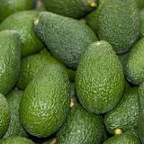 Letizia Bugini: «L'avocado è buonissimo, ma bisogna fare attenzione»