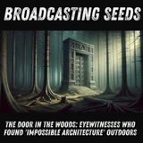 The Door in the Woods: Eyewitnesses Who Found “Impossible Architecture” Outdoors