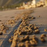Episode 813 | A Line In The Sand. #NeverBloomberg