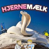 86 - Hvor kan jeg klatre en bane slangekokain?