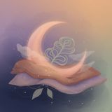 Understanding BPD: Sleep, rest, and nervous-system recovery