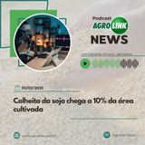 Rio Grande do Sul termina colheita da cebola com melhor safra dos últimos anos