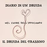 1 - il Druida del Frassino