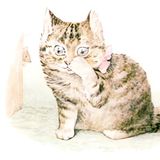 La historia de Señorita Moppet | Cuentos de Gatos