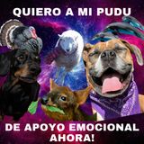 Quiero a mi Pudú de Apoyo Emocional ahora!