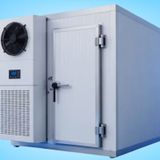 What to Consider Before Buying a Blast Freezer for Food Processing