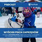 31. Wyścigi psich zaprzęgów. Aleksandra Pieron, wiceprezeska Polskiego Związku Sportu Psich Zaprzęgów