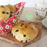 PANGOCCIOLI