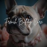 Everything You Need to Know About French Bulldog Care