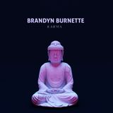 Brandyn Burnette Exploring Karma And More