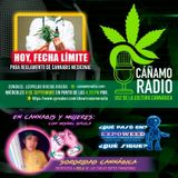 CANAMO RADIO emision 111
