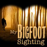 I Saw a Wood Ape on Flat Top Mountain - My Bigfoot Sighting Episode 136