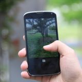 Un click contro frodi in agricoltura, al via le segnalazioni anonime