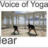 Kriya Yoga Asana Program Revision One