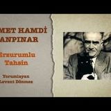Ahmet Hamdi Tanpınar - Tahsin from Erzurum