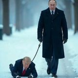 Trump pide misericordia a Putin