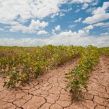 L'atmosfera ha sete e l'agricoltura USA ne paga il prezzo