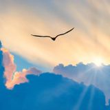 THERE ARE REASONS TO BE HOPEFUL (Episode 687 - Preachify Daily Devotional)