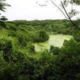കൊച്ചി ന​ഗരത്തിന്റെ മധ്യഭാ​ഗം, കാണേണ്ട കാഴ്ചകളാണ് മം​ഗളവനവും ഓൾഡ് റെയിൽവേ സ്റ്റേഷനും | Mangalavanam Bird Sanctuary